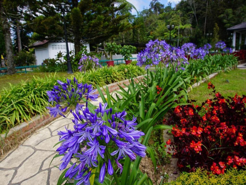 Camlodge Budget Hotel Cameron Highlands Exterior foto