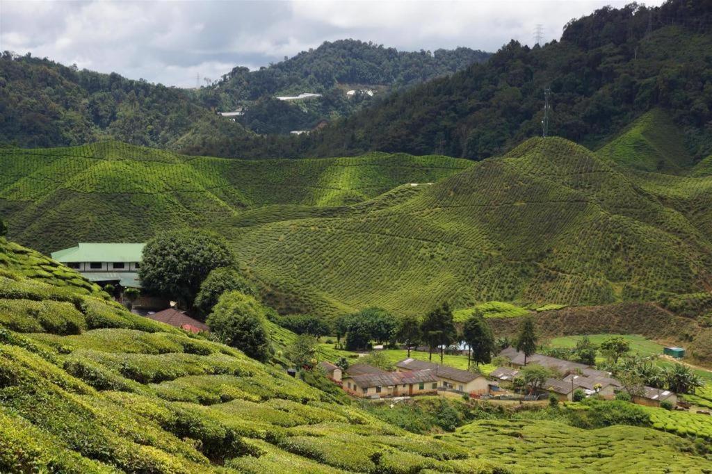 Camlodge Budget Hotel Cameron Highlands Exterior foto