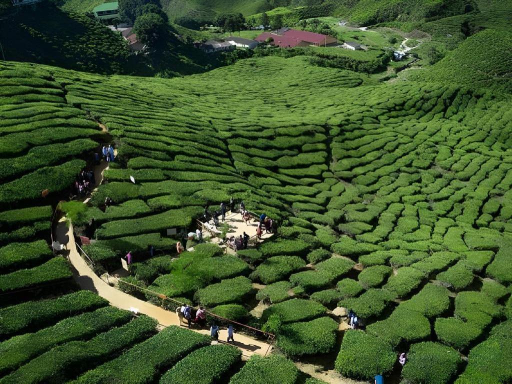 Camlodge Budget Hotel Cameron Highlands Exterior foto